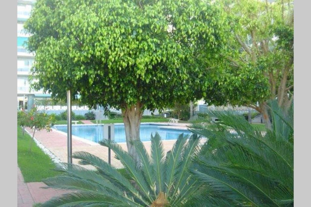 Apartamento Athenea กันดิอา ภายนอก รูปภาพ